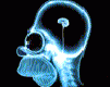 /album/fotogalerie/n-28-gif/